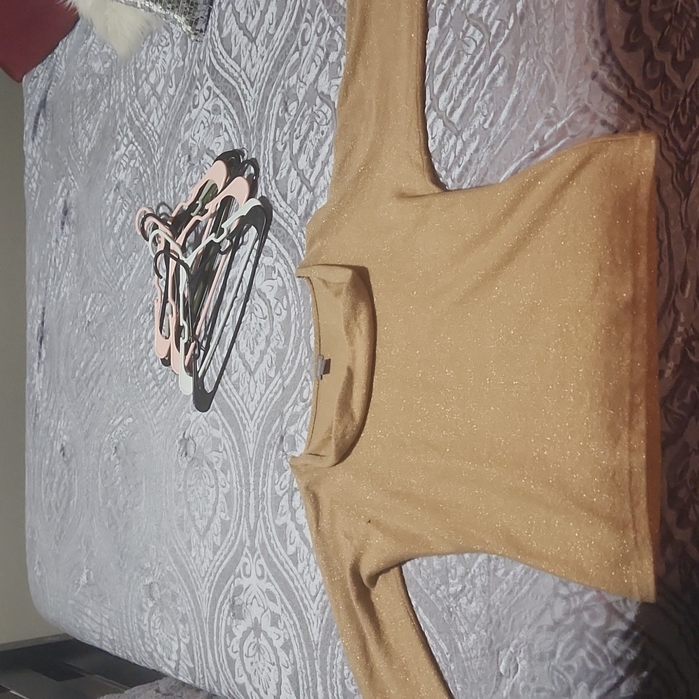 Ann Taylor Blouse